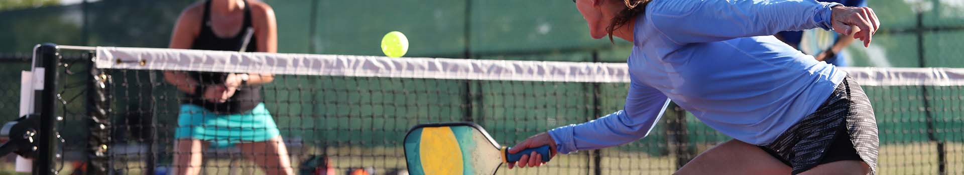 ピックルボールハックの役割のイメージ