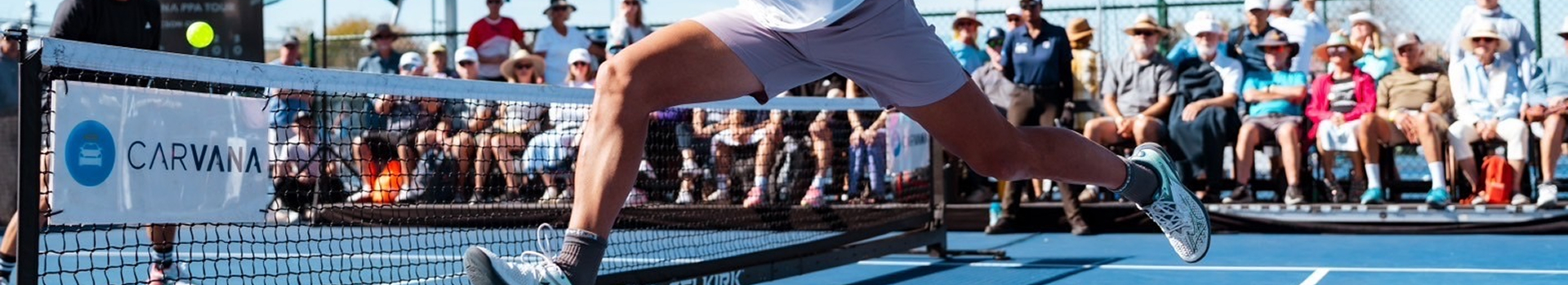 ピックルボール選手活動支援のイメージ