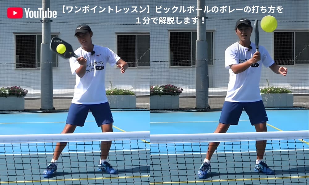 ボレーの仕方【船水雄太】
