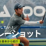 ピックルボールのボレーショットは重要!やり方を基本から紹介