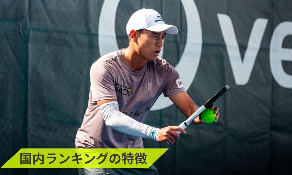 国内ランキングの特徴