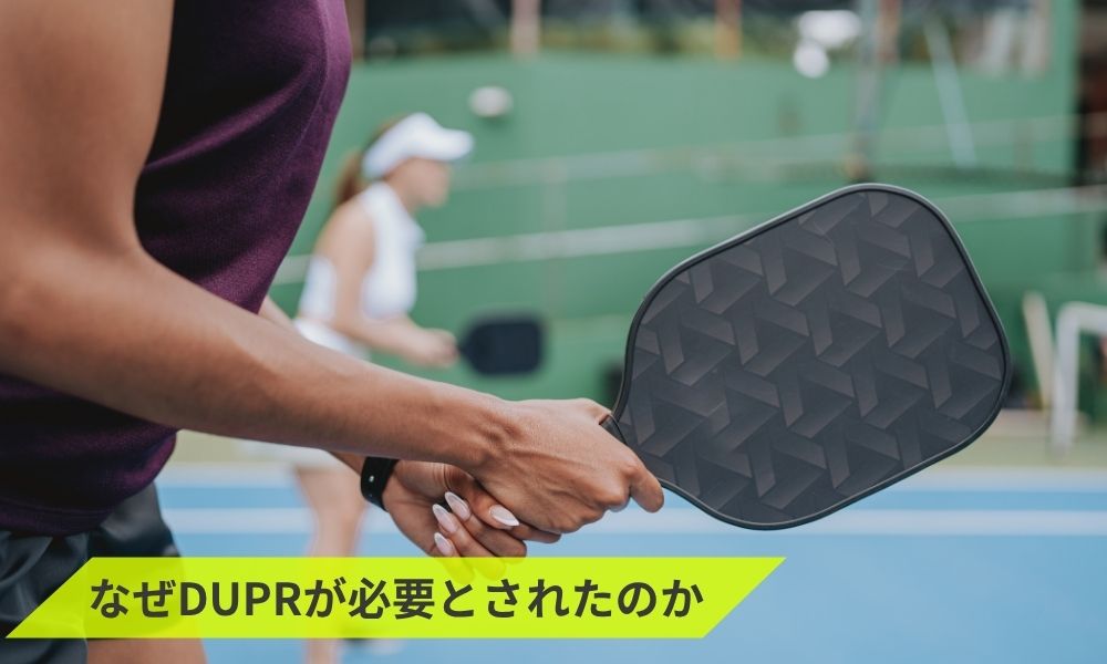 なぜDUPRが必要とされたのか
