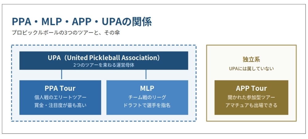 PPA・MLP・APPの関係図